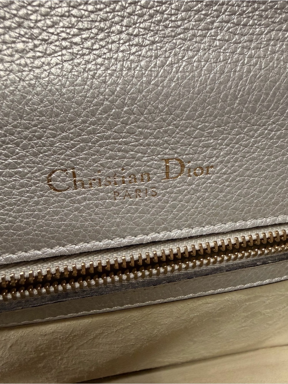 DIOR DIORAMA Silver Leather Crossbody with Gold Chain AUTHENTIC - Picture 4 of 12
